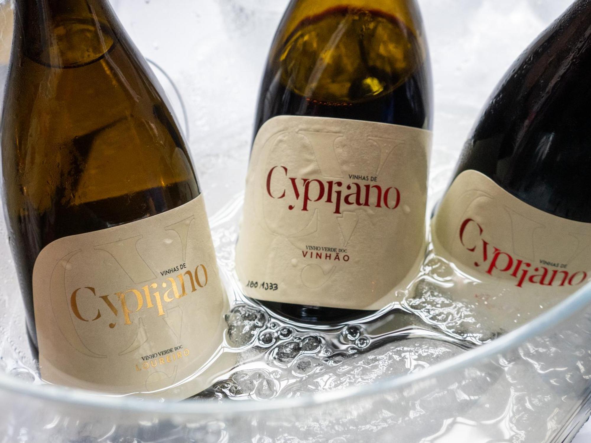 Quinta De Cypriano - Wine & Nature Понти-да-Барка Экстерьер фото