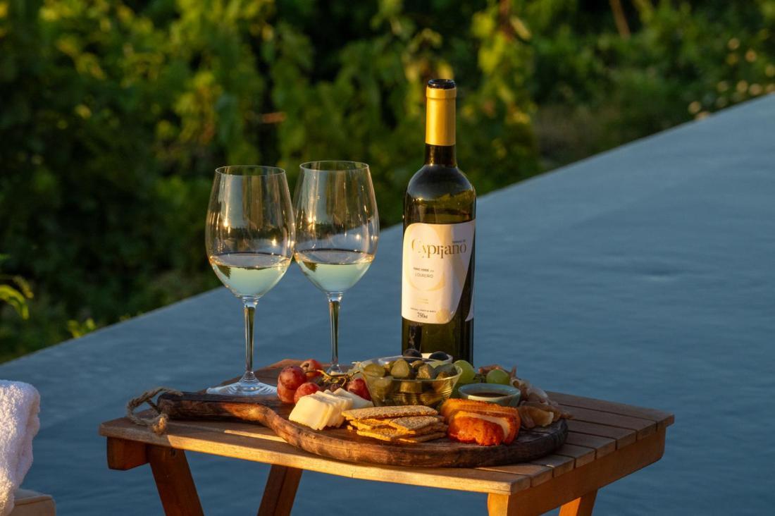 Quinta De Cypriano - Wine & Nature Понти-да-Барка Экстерьер фото