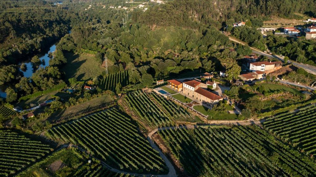 Quinta De Cypriano - Wine & Nature Понти-да-Барка Экстерьер фото